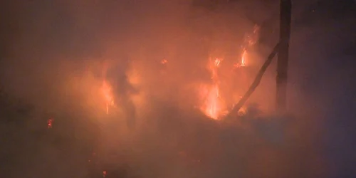 incendiu vaslui
