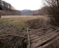 Satul Dănulești din Hunedoara Foto Daniel Guță ADEVĂRUL (12) JPG