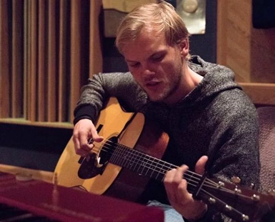 Părinții lui Avicii sunt moștenitorii averii acestuia Foto: Pinterest