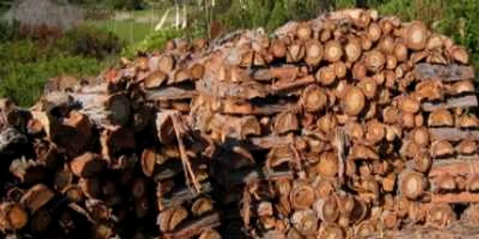 Suceava: Lemnele de foc ar putea fi cumpărate la jumătate de preț