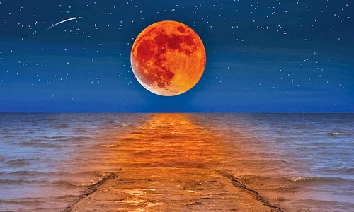 luna22 23 peglob shutterstock 1242331480 jpeg