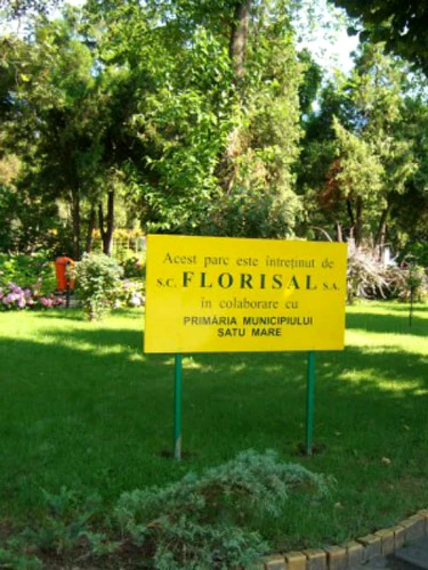 SPATII VERZI
