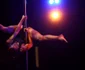 Miss Pole Dance Romania 2016 FOTO David Muntean