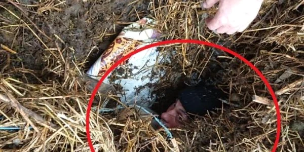 fugar condamnat bacau ascuns gunoi foto stirileprotv.ro
