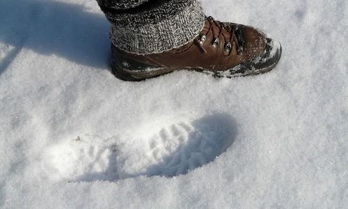 1 72868 original jpg jpeg