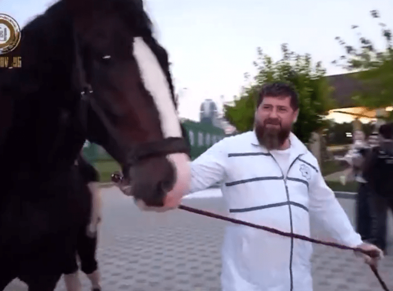Un cal de rasă aparținând lui Kadîrov a fost furat din Cehia
