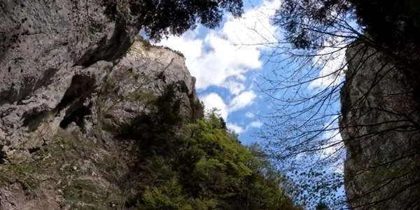Piatra Craiului