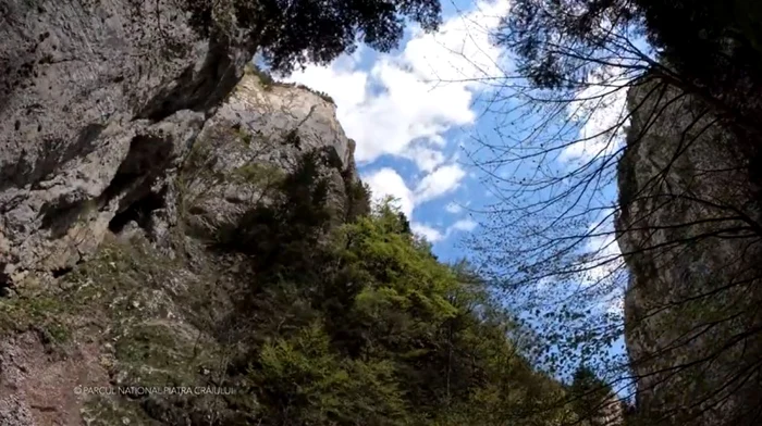 Parcul Naţional Piatra Craiului. Captură video Mircea Vergheleţ