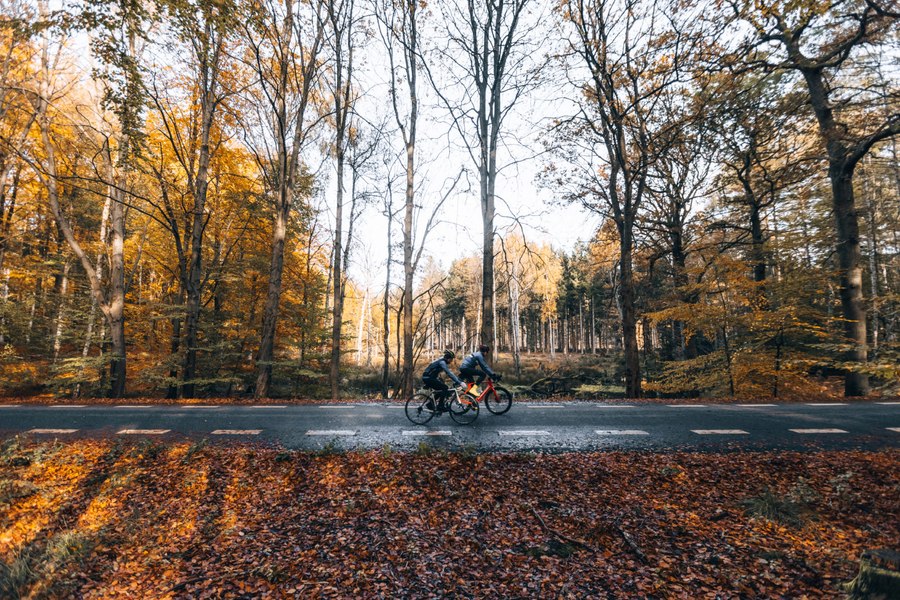 Autostrăzile pentru biciclete, populare în nordul Europei. Cum arată infrastructura în România față de cea din Danemarca