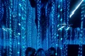 Infinity Room Art Safari JPG