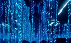 Infinity Room Art Safari JPG