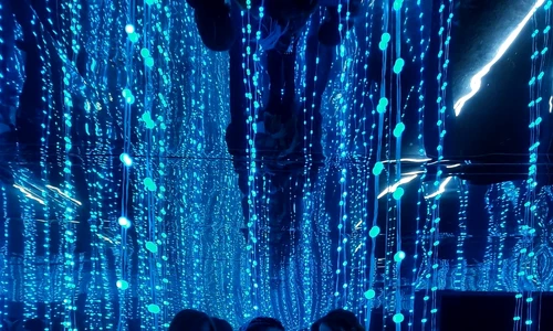Infinity Room Art Safari JPG