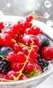fructe de padure, foto shutterstock jpg