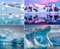 Antarctica Colaj DMS