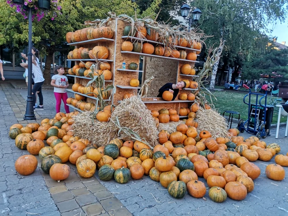 Festivalul Dovleacului de la Kikinda
