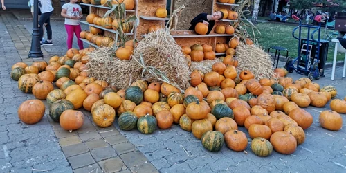 Kikinda 2021 FOTO Ş.Both