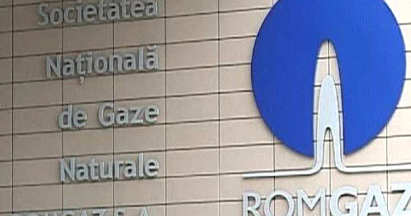 Managerii privaţi ai celor trei companii de stat ar fi trebuit să fi numiţi până la 25 iulie 2012, potrivit angajamentelor Guvernului faţă de Fondul Monetar Internaţional