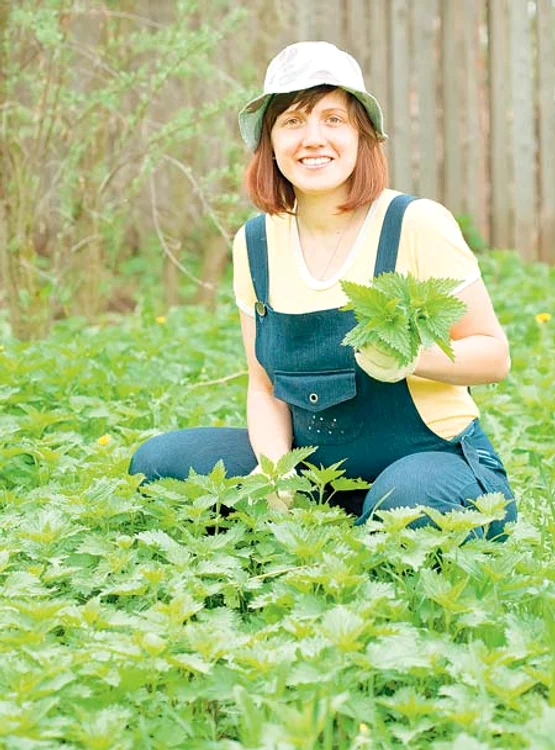 
    La ce sunt bune urzicile  