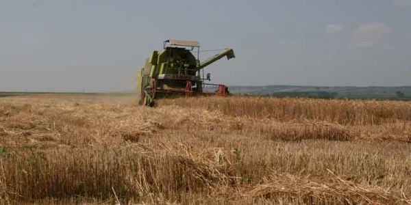 FOTO: Arhivă