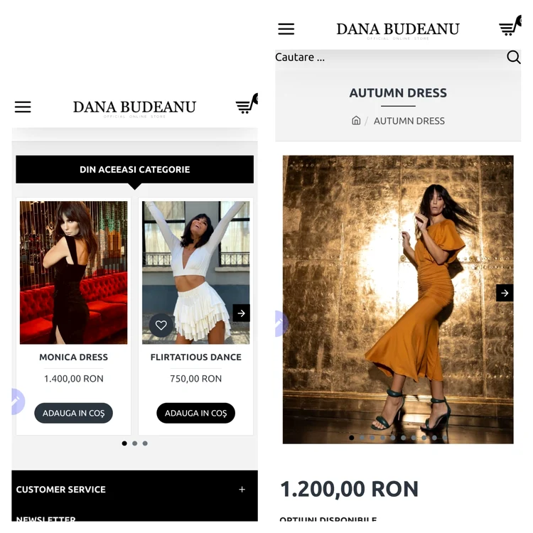 Prețurile rochiilor Danei Budeanu / foto: store.danabudeanu.com