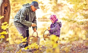 10 utile shutterstock 706957057 jpeg