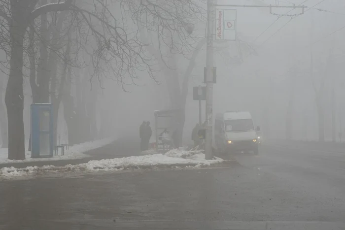 Copoul învăluit în ceaţă