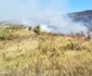 Incendiu de vegetaţie lângă Iaşi