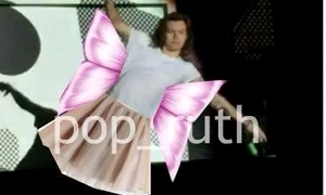 Fanii s au amuzat pe baza căzăturii lui Harry Styles jpeg