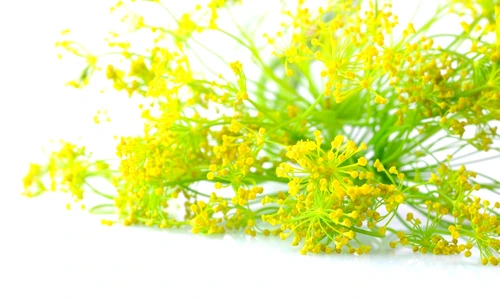 1 72669 original jpg jpeg