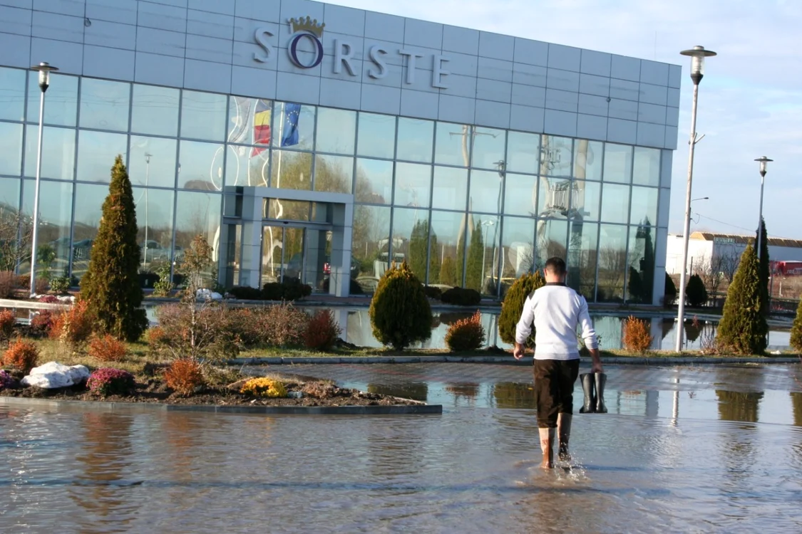 sorste
