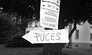 Cu ochii n 3,14 jpeg