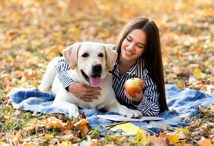 Merele sunt fructele cel mai ușor de introdus în dieta câinilor / foto: freepik.com