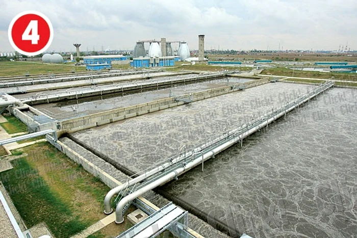 Substanţele poluatoare  sunt eliminate cu  ajutorul microorganis- melor, în 12 bazine