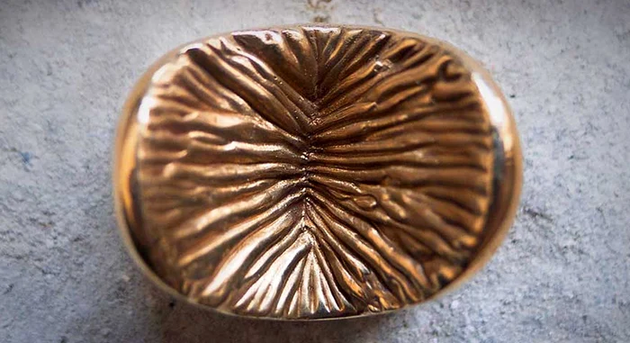 
    Lumea lui Magnus se învârte în jurul anusului umanFoto Youtube  