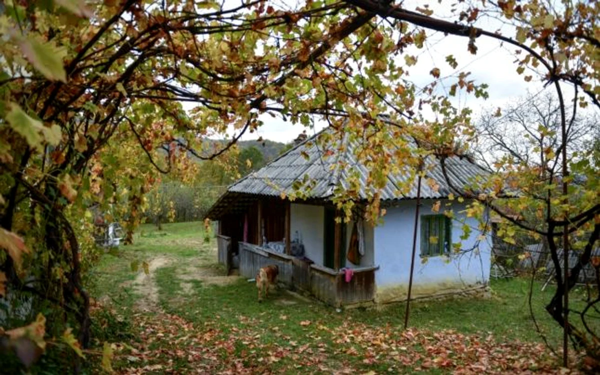 Casă abandonată din Pârâieşti FOTO AFP