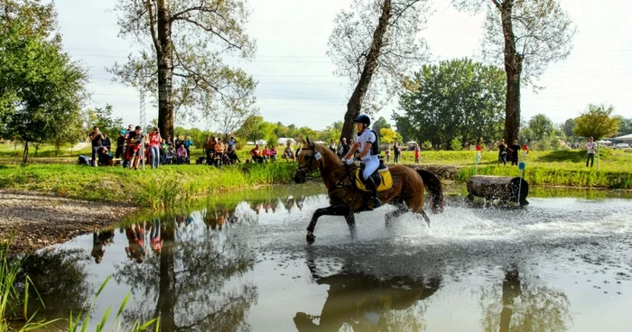 Karpathia Horse Show