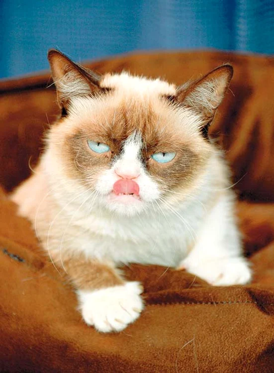 
    Fotografii: guliver/ gettyimages / splashnews / photoland / wenn  