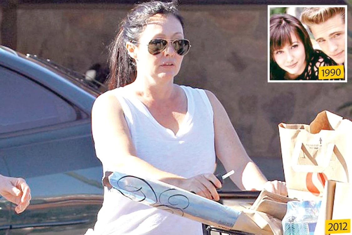 
    Brenda din  Beverly Hills  