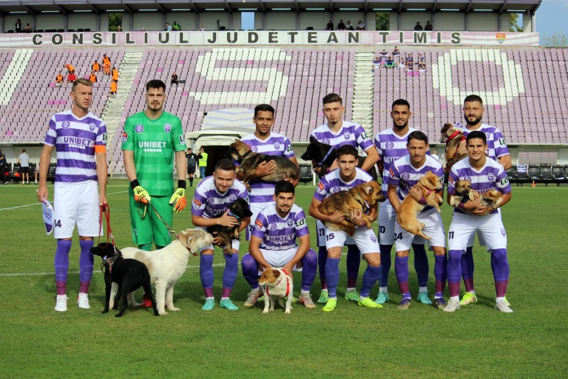 Alb-violeţii susţin adopţia în detrimentul cumpărării FOTO Politehnica Timişoara