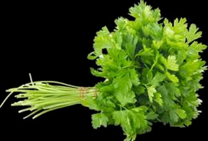 
    Pătrunjelul, un remediu excelent contra haleneiSursa foto: Arhiva Click  