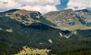 statiunea padina pestera