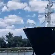 SULINA gif