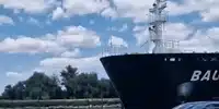 SULINA gif