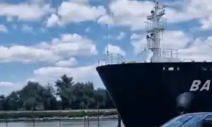 SULINA gif