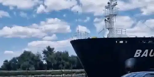 SULINA gif