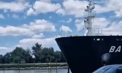 SULINA gif