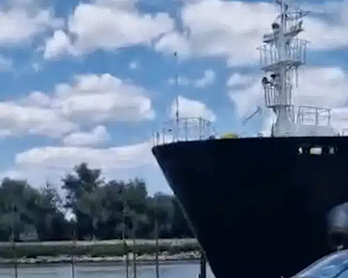 SULINA gif