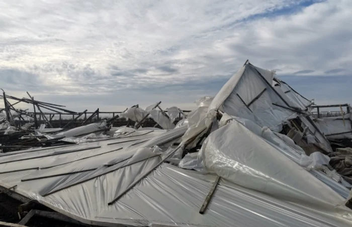 Fenomenul meteo extrem nu a durat mai mult de 10 minute, spun fermierii, însă a fost de ajuns să-i lase fără munca de un sezon