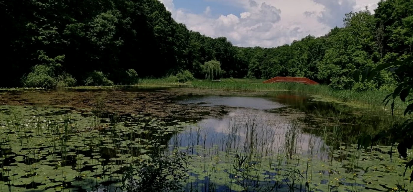 lacul cu nuferi ipotesti