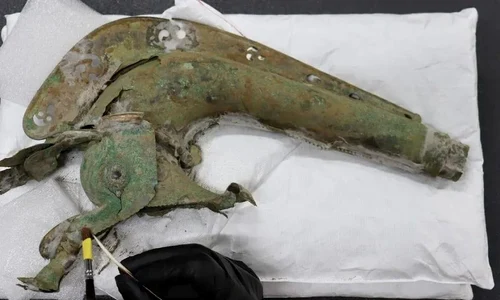 Foto: © Norfolk Museums Service 